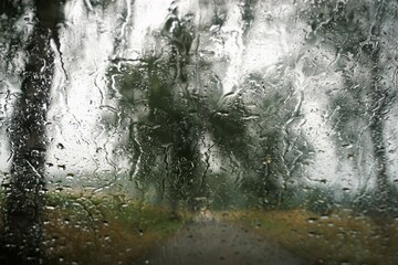 Glasscheibe mit Regentropfenmuster vor Himmel und hohen Birkenbäumen bei Regen am Morgen im Sommer