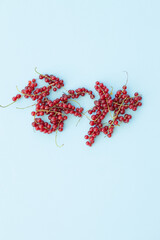 Red currant berries isolated on blue background