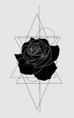 Black and white illustration. Rose with geometry. Design for tattoo, logo, typography. Vector.