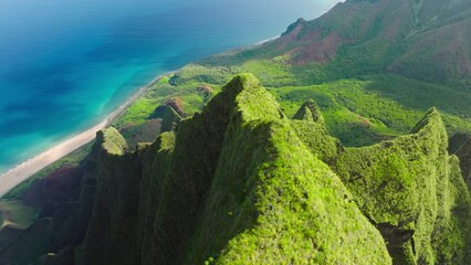 Magnificent nature drone flying over green jungle mountain peaks revealing tropical beach on Na Pali park. Incredible aerial view dramatic mountains, blue ocean on Napali Coast Kauai island Hawaii USA - Powered by Adobe