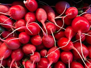 Close-ups of stacked ripe bright red radishes