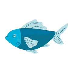 blue fish design