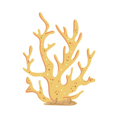 yellow coral design