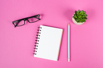 Empty notebook with a pen, eyeglasses and a cactus on a pink background, brainstorming for new...