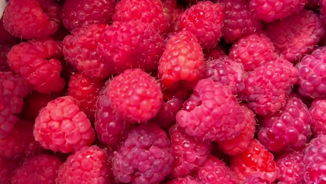 Raspberries close-up. Raspberry harvest. Red raspberry texture