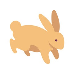 golden cute bunny