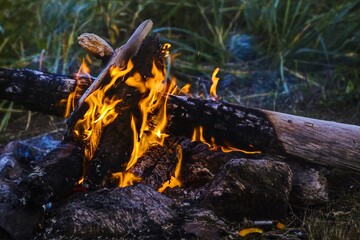 Campfire