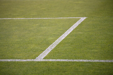 Beautiful fresh green grass on football field, soccer field with outer lines.