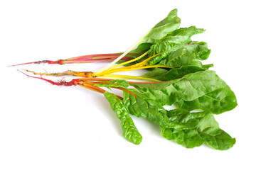 Leaves of red, orange and yellow chard on a white background. Useful edible plant close-up. 