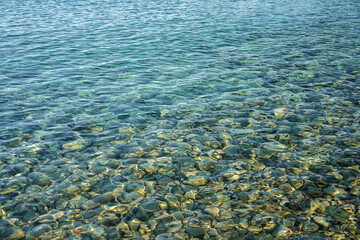 Naklejka na ściany i meble Coast of the Croatian sea. Clear water with pebbles