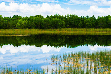 florida landscape, waterscape, with reflection of sky and trees