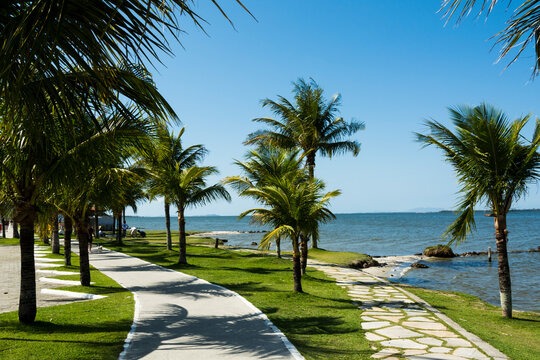 Palm trees on the beach at the lake of Araruama Town, State of Rio de Janeiro, Brazil. Taken with Nikon D7100 18-200 lens, at 20mm, 1/250 f 10. ISO 125.