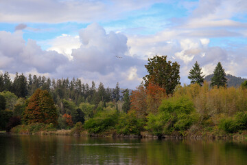 Fototapeta premium Sooke River