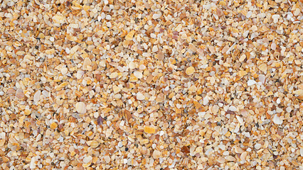Summer holidays at sea and vacation, background with space for text. Small shell beach. View from above. copy space.