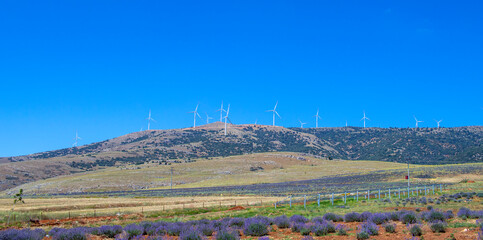 field of wind energy turbines on the mountain.wide angle landscape.