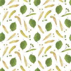 Linden tree seamless pattern with seeds, leaves, branch, honey plant watercolor hand drawn floral illustration, foliage, greenery repeat ornament for textile, home decor