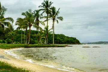 Lake beach with palm tree at Araruama Town, State of Rio de Janeiro, Brazil. Taken with Nikon D7100...