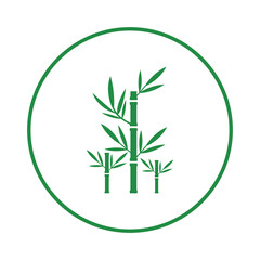 Nature jungle bamboo tree icon | Circle version icon |