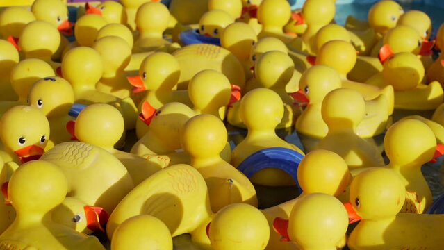 This video shows floating yellow rubber duckies in a pool rotating.