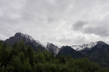 Snowy Peaks BC