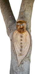 man figure made of wood on tree trunk, isolated on white background.