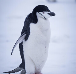 Obraz premium Stock Photo of Common Imagery from Life and The World