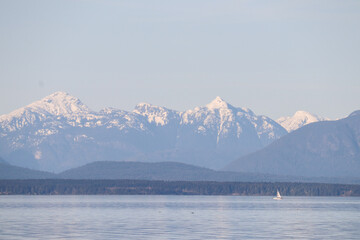 Sailboat in the Distance