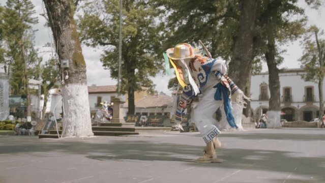 Danza regional de los viejitos. Traditional dance Los viejitos.