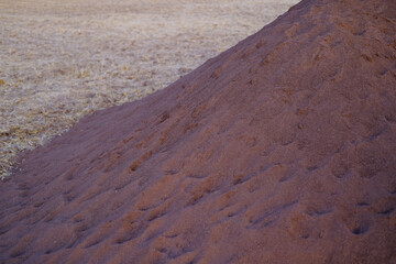 large pile of brown loose fertilizer on sloping field, agrochemistry, increasing farmer's crop, yield and quality of winter and spring wheat grains, environmental damage from mineral fertilizers