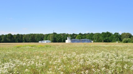 Landscape outside the city