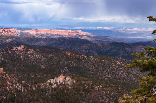 scenic view of pine trees of Ponderosa Canyon at Bryce National Park, Utah, USA