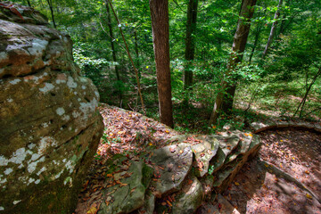 Stone path descending through a gorge into a secluded forest