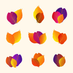 Set of autumn colorful leaves, vector 