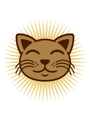 Strahlend Katze Gesicht glücklich 