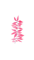 A small twig with leaves. Watercolor illustration.