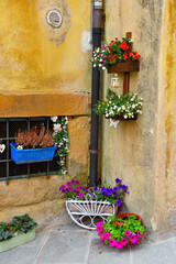 Naklejka premium flowers in the colorful village of ghizzano tuscany Italy