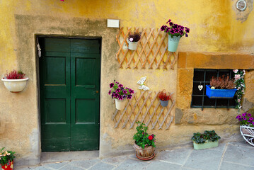 Fototapeta na wymiar flowers in the colorful village of ghizzano tuscany Italy