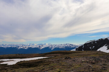 Looking Over the Alpine Meadow