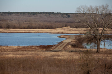 Obraz premium Lake Meadow and Forest