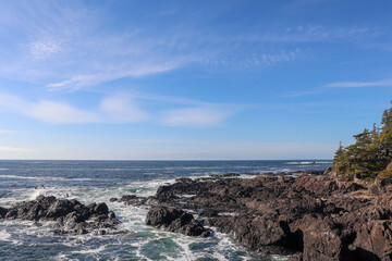 Obraz premium Shores of Uclulet 