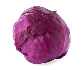 Obraz premium One fresh ripe red cabbage isolated on white