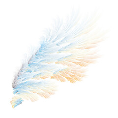 Abstract ice bird wings illustration