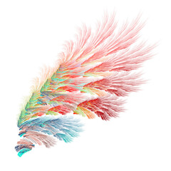 Abstract colorful bird wings illustration