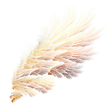 Abstract golden bird wings illustration