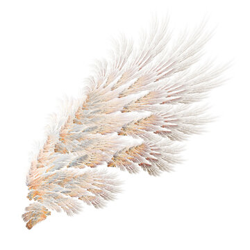 Abstract forest eagle wings illustration