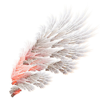 Red brown abstract bird wings illustration