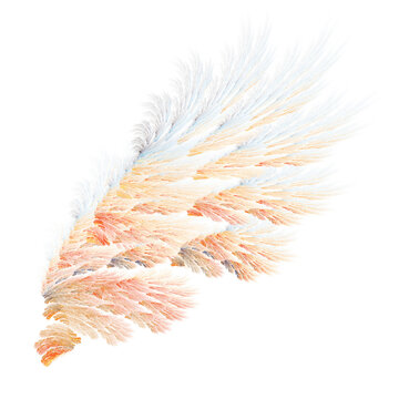 Abstract fire bird wings illustration