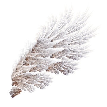 Abstract dark brown eagle wings illustration