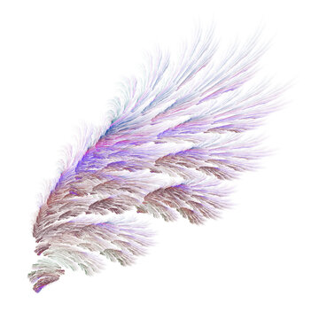 Purple brown abstract bird wings illustration