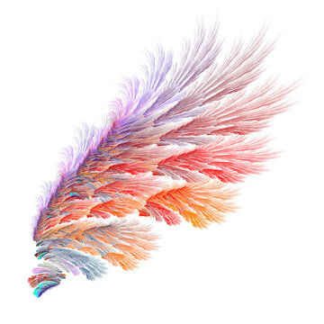 Colorful fire feather bird wing illustration
